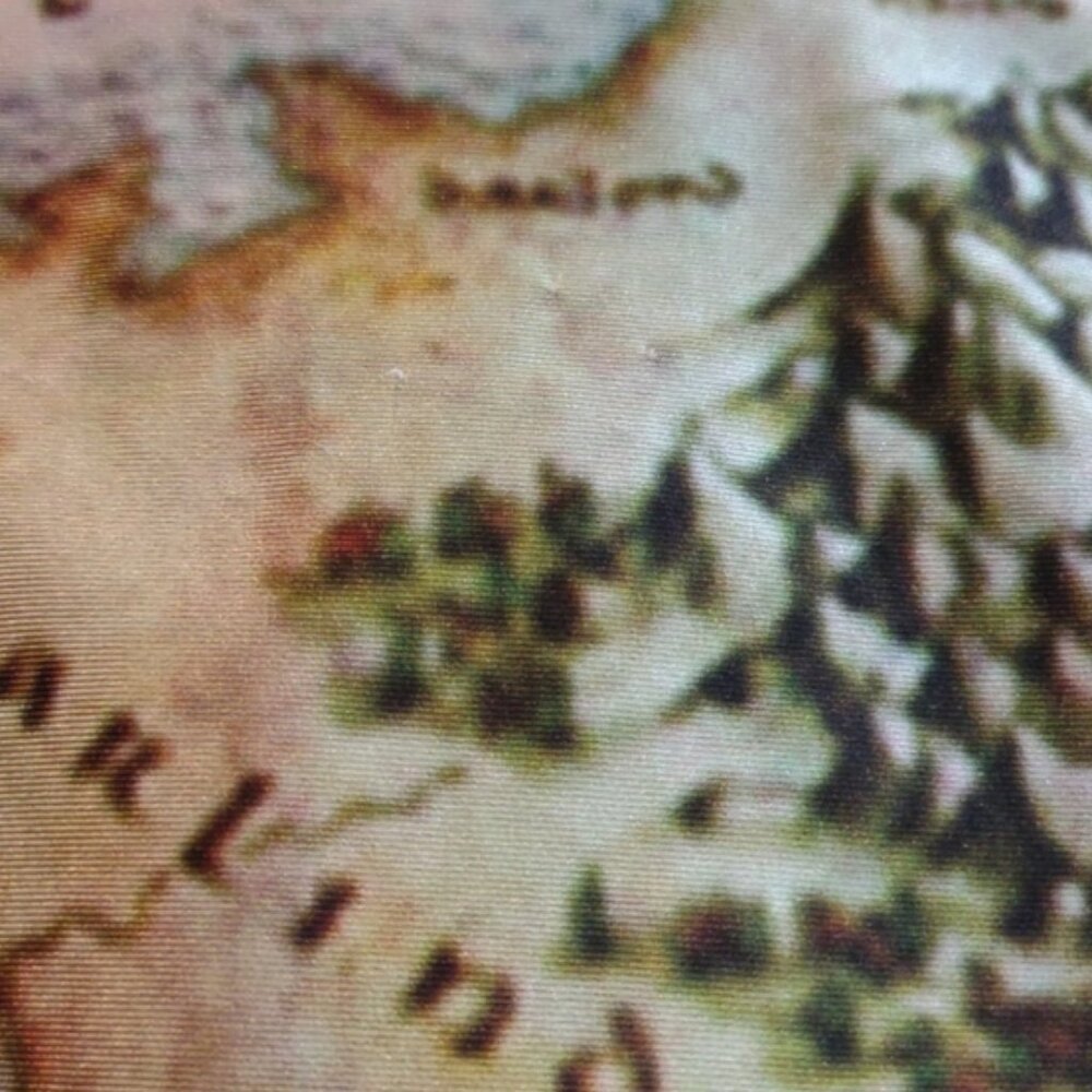 Map Print Mini Dress - Picture 3 of 3